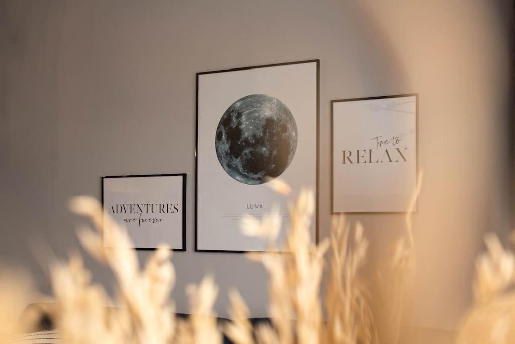 Blue Moon. Cozy Apartment Near Iulius Mall Kluž Exteriér fotografie
